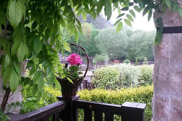 Guest House Pekliuk Gulubovtsi المظهر الخارجي الصورة