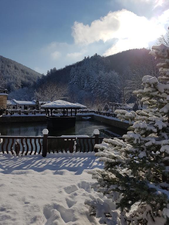 Guest House Pekliuk Gulubovtsi المظهر الخارجي الصورة