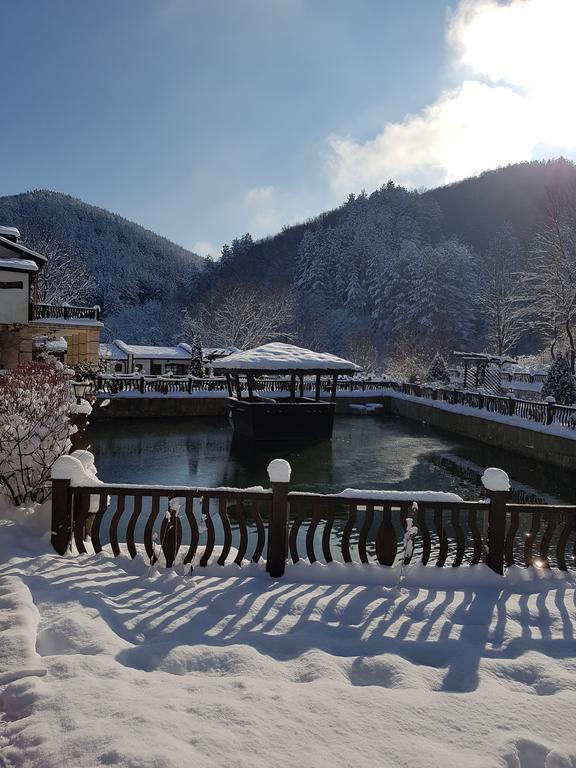 Guest House Pekliuk Gulubovtsi المظهر الخارجي الصورة
